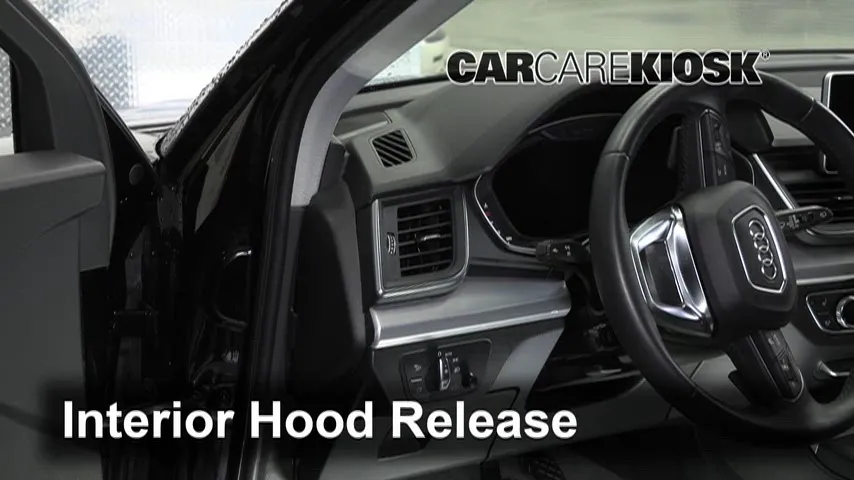 2019 Audi Q5 Prestige 2.0L 4 Cyl. Turbo Hood